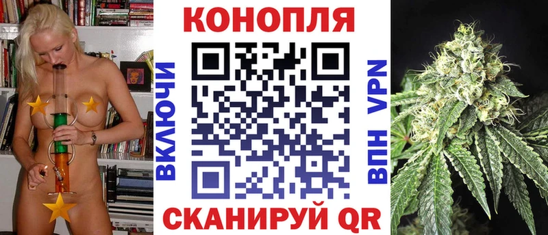 сколько стоит  Томари  МЕГА ссылка  Бошки Шишки ГИДРОПОН 
